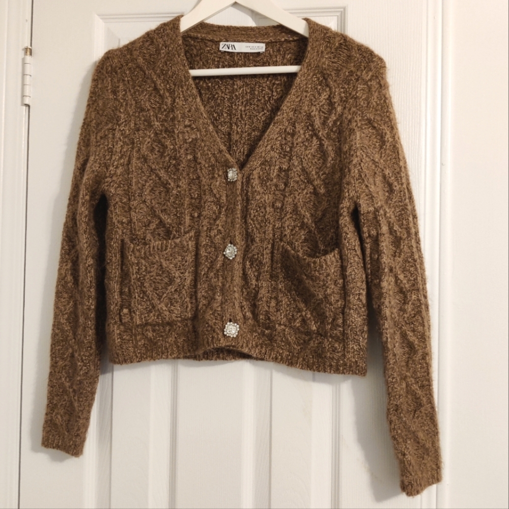 Zara Jewelry Button Sweater